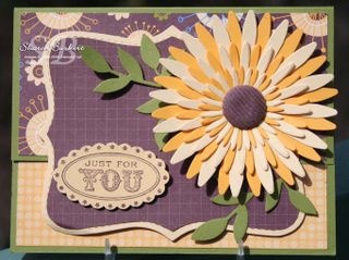 Rolodex pictures 003 copy