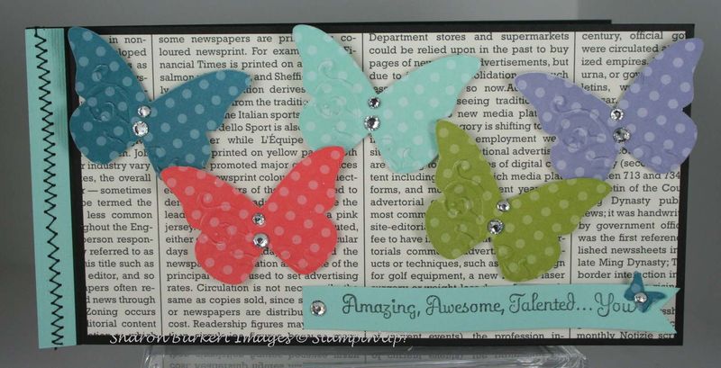 In Color 2011 case pg 152