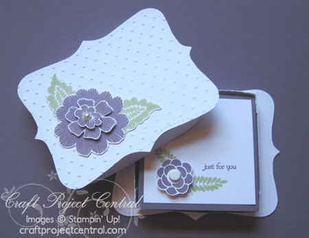 Array of Sunshine Box & Note Cards