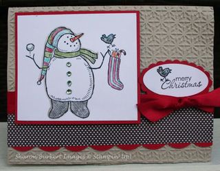 Sahara Sand Snow much fun