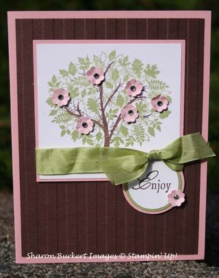 Leaves of a Tree Spring