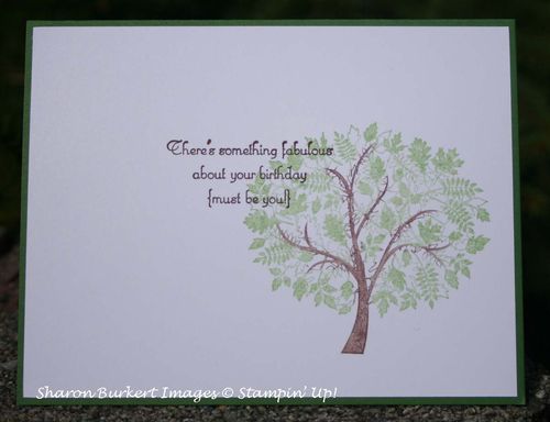 Leaves of a Tree Summer inside