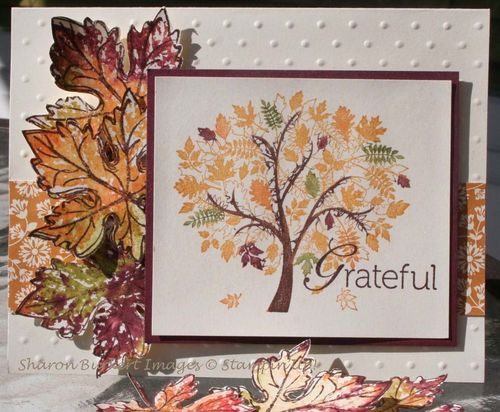 Leaves of a Tree fall Leaves of a Tree fall