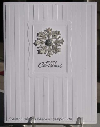Dobule embossing silver snowflake