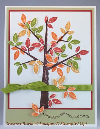 Season of Friendship fall