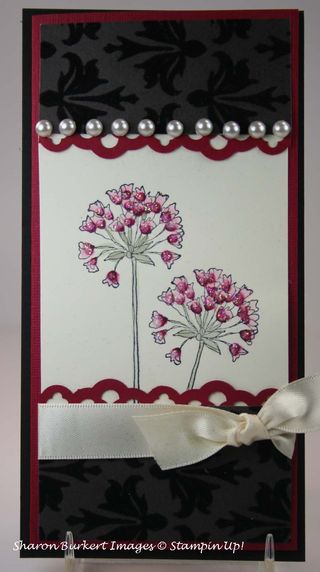 Simply soft mocha specialty