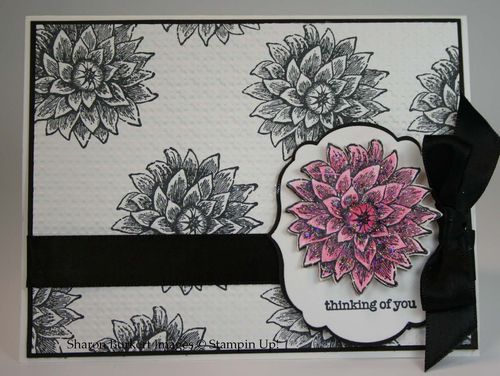 Creative elements black and white