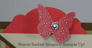 Closeup fresh vintage pocket card