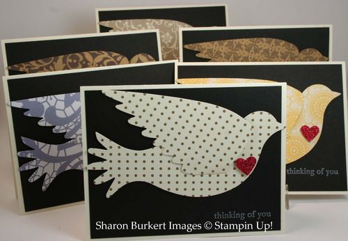 Lots of elegant birds