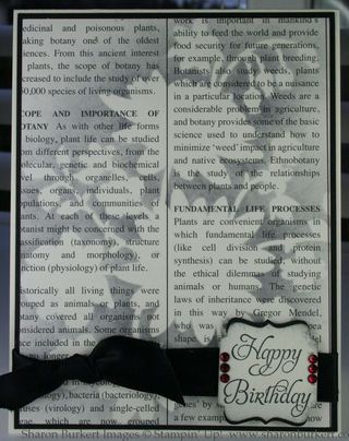 Blossom stencil in black white Blossom stencil in black white