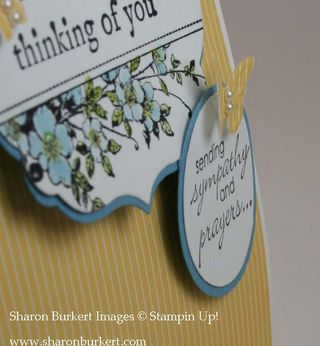 Apothecary art sympathy closure Apothecary art sympathy closure