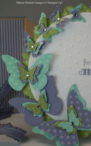 Diamond fold butterfly close up