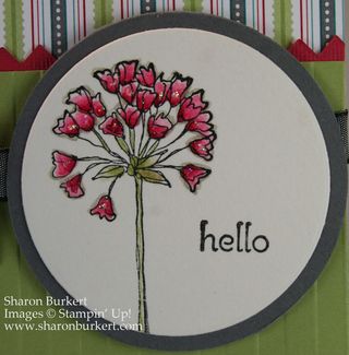 Closeup simply soft twiterpated Closeup simply soft twiterpated