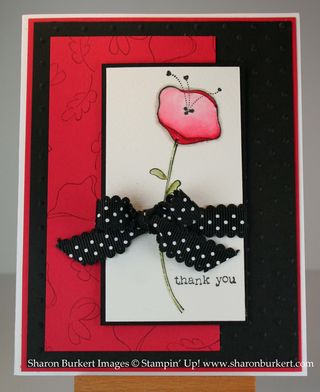 Awash in flowers poppy parade