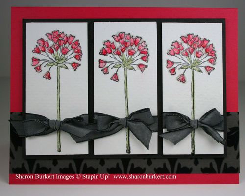 Simply Soft in poppy parade