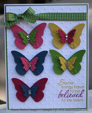 In Color Butterflys In Color Butterflys