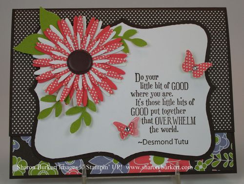 Berry Blossoms Daisies