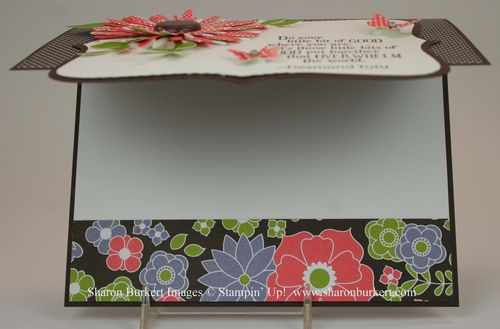 Berry blossoms daisies open