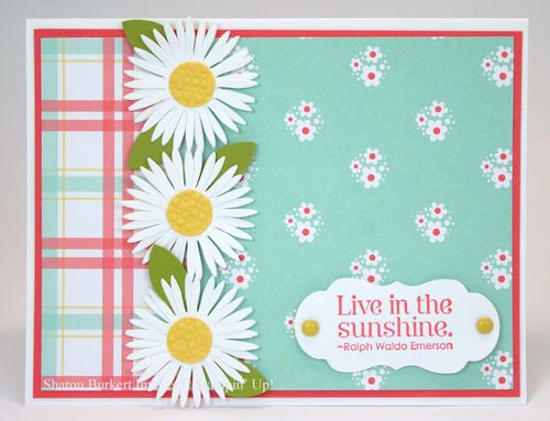 Daisies #2 Domestic Goddess Daisies #2 Domestic Goddess