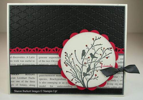 Serene Silhouettes Birds Serene Silhouettes Birds