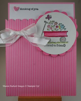 For the BIrds pocket