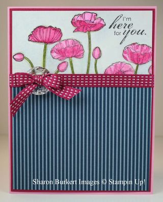 Pleasant Poppies rasp rip front jpg Pleasant Poppies rasp rip front jpg