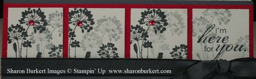 Serene Silhouettes vanilla,gray,red close Serene Silhouettes vanilla,gray,red close