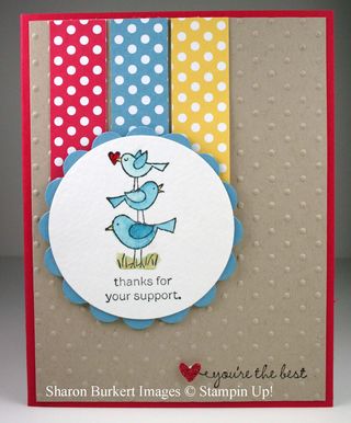 For the Birds support marina mist front 