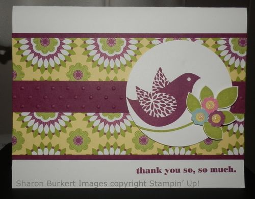 Rich razzleberry betsy Rich razzleberry betsy