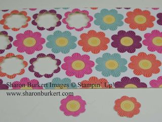 Ittybittyshapes and floral district