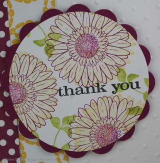 Reason to Smile rich razz closeup