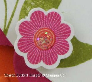 Closeup floral dist flower