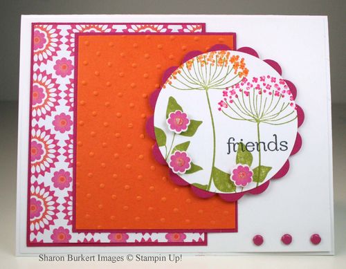 Summer Silhouettes front Floral District