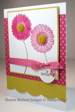 Reason to Smile primrose petals summer starfruitside Reason to Smile primrose petals summer starfruitside