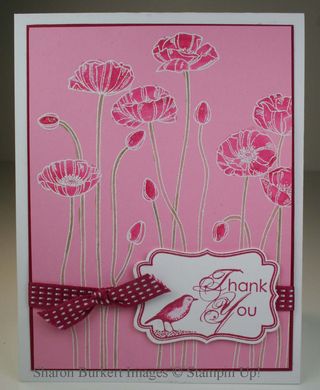 Pleasant Poppies june 2012 class Pleasant Poppies june 2012 class