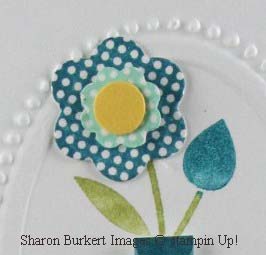 Bright Blossoms oval frame closeup Bright Blossoms oval frame closeup