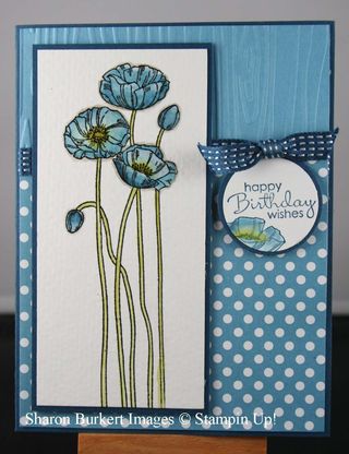 Pleasant Poppies and Marina Mist polka Dot parade