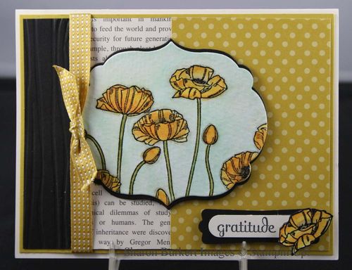 Pleasant Poppies Summer Starfruit