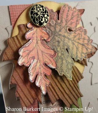 Gently Fallingfcloseup