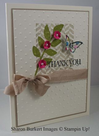 Beyond Plaid new bflyside