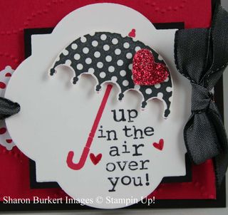 Rain or Shine red Black white close up Rain or Shine red Black white close up