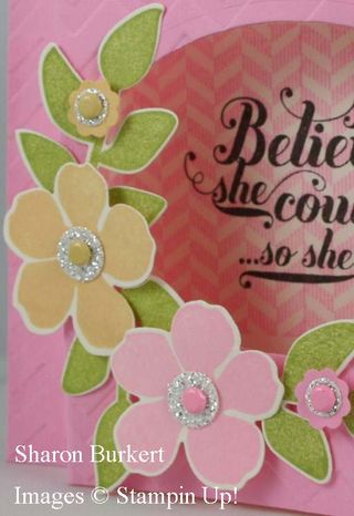 Closeup shadowbox Closeup shadowbox