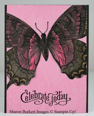 Swallowtail vellum pip