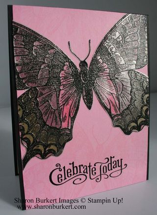 Swallowtail vellum pip side