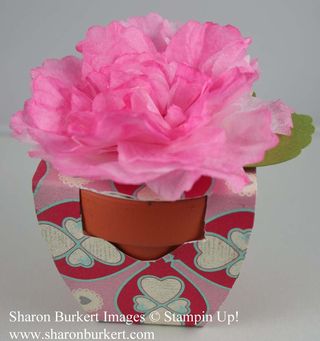 Creped flowerpot Creped flowerpot