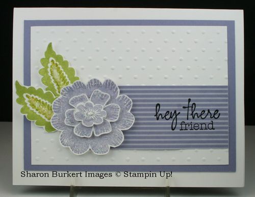 Wisteria Wonder flower