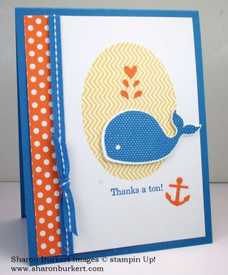 Oh, Whale Pacific Point Pumpkin Pie front