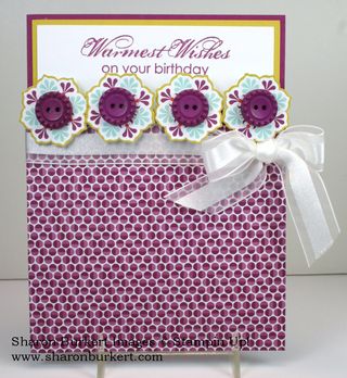 Sycamore St DSP pocket card