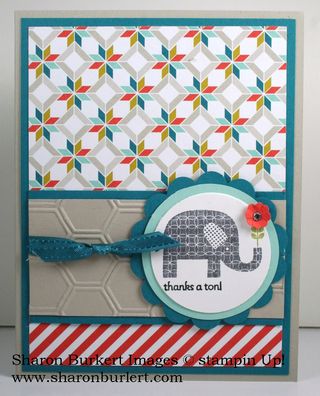 SAB patt occ elephant