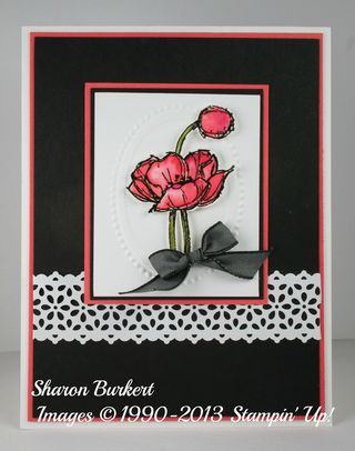 Simply Sketched calypso front